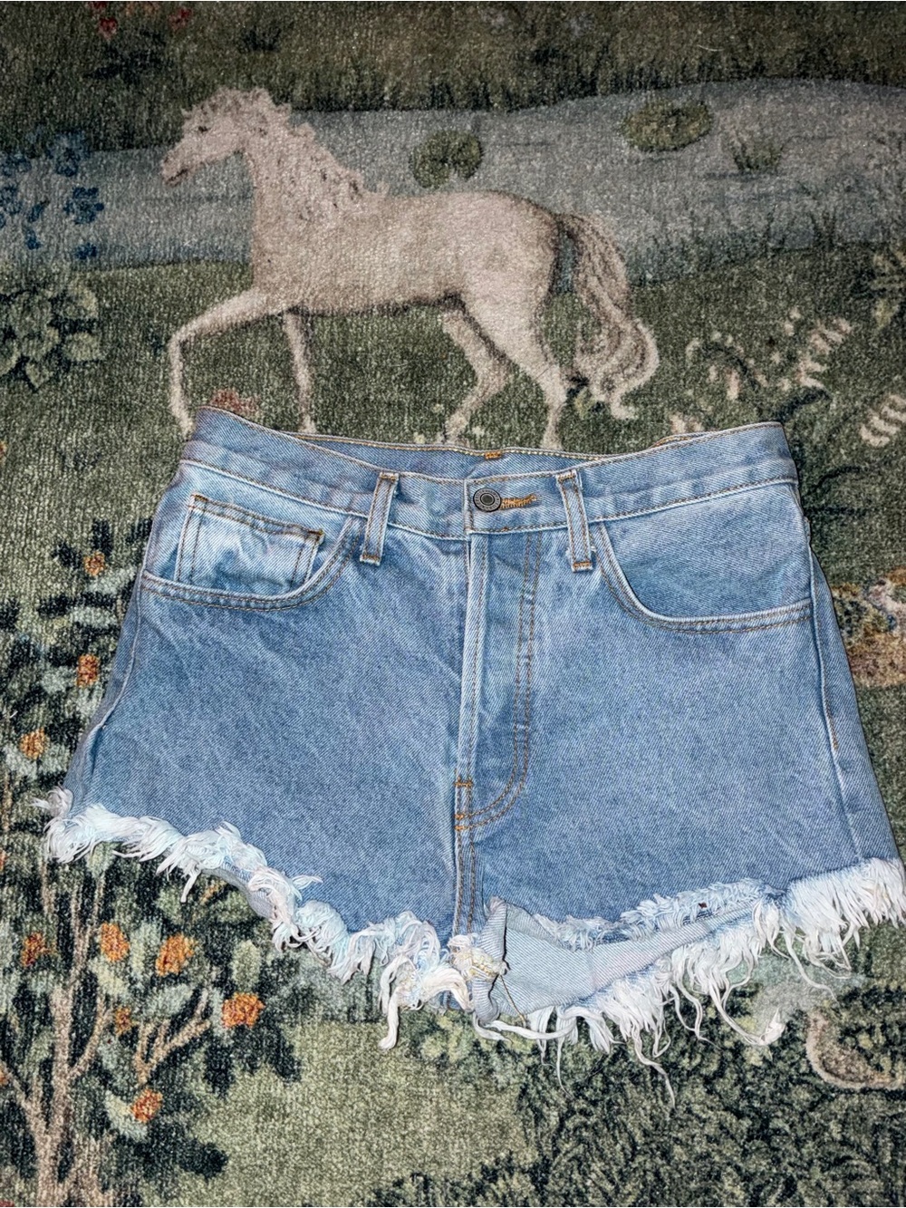 John Galt Brandy Melville Denim Shorts S Light Wash High Rise Frayed Cutoff